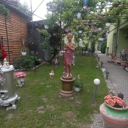 Apartament Casa Elena Sighișoara Zewnętrze zdjęcie