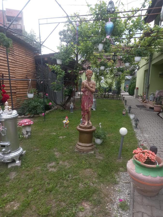 Apartament Casa Elena Sighișoara Zewnętrze zdjęcie