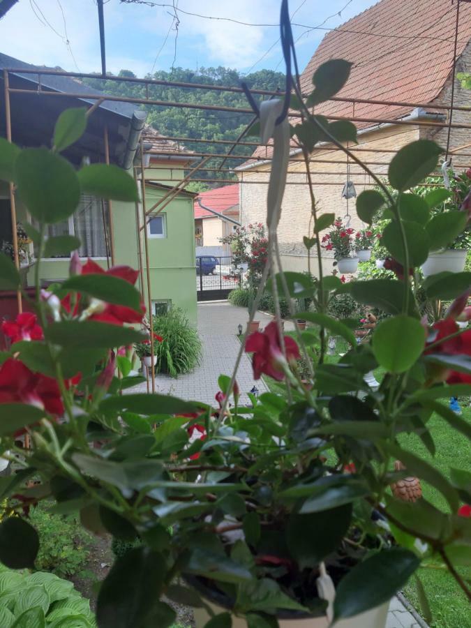 Apartament Casa Elena Sighișoara Zewnętrze zdjęcie