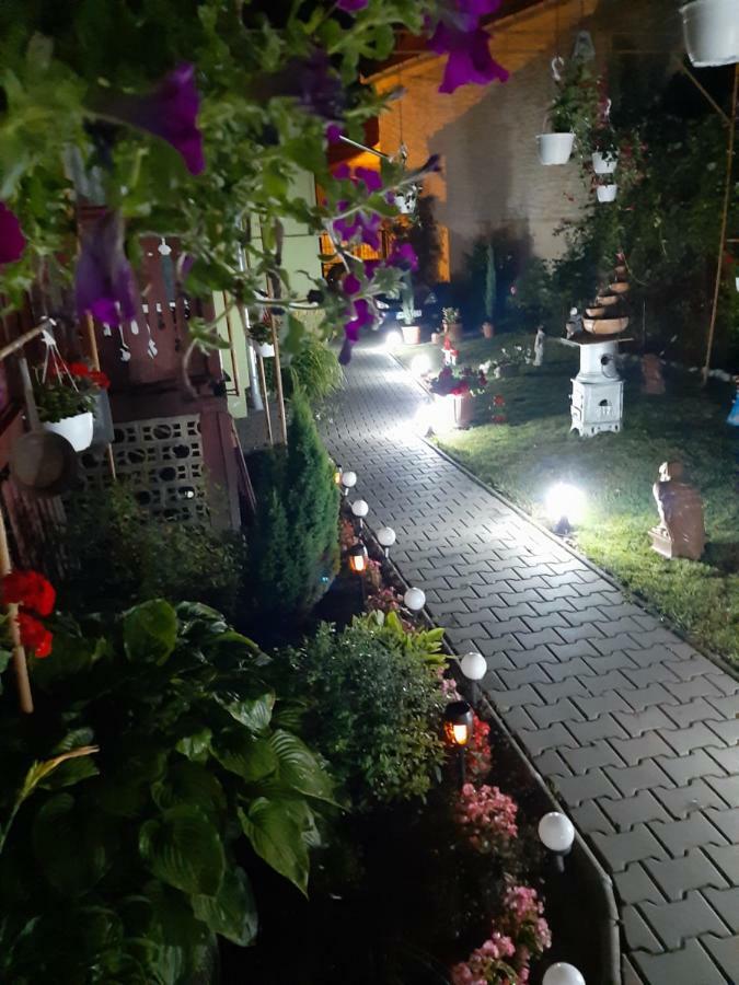 Apartament Casa Elena Sighișoara Zewnętrze zdjęcie